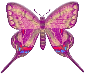 butterflygraphic12